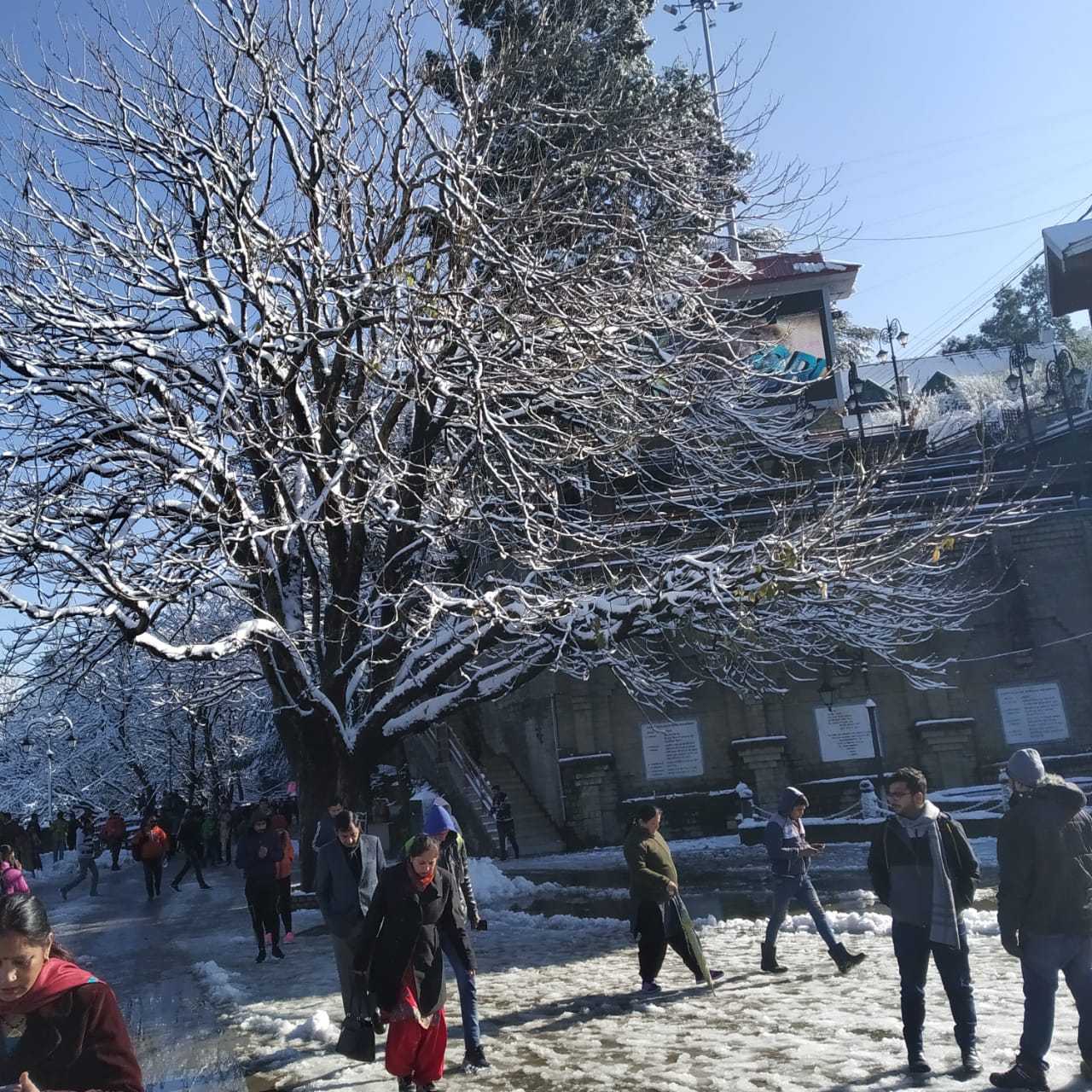 पश्चिमी विक्षोभ के कारण देश के कई इलाकों में बारिश, मौसम खराब होने की संभावना